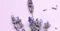 Lavender cordial from Cocktail Haus